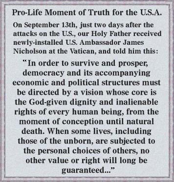 Pro-Life Quote by the Pope