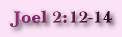 Joel 2:12-14